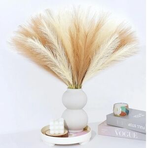 Unity Assets Pampas Grass, set of 2- 60 pieces -17" long - cream, beige, tan